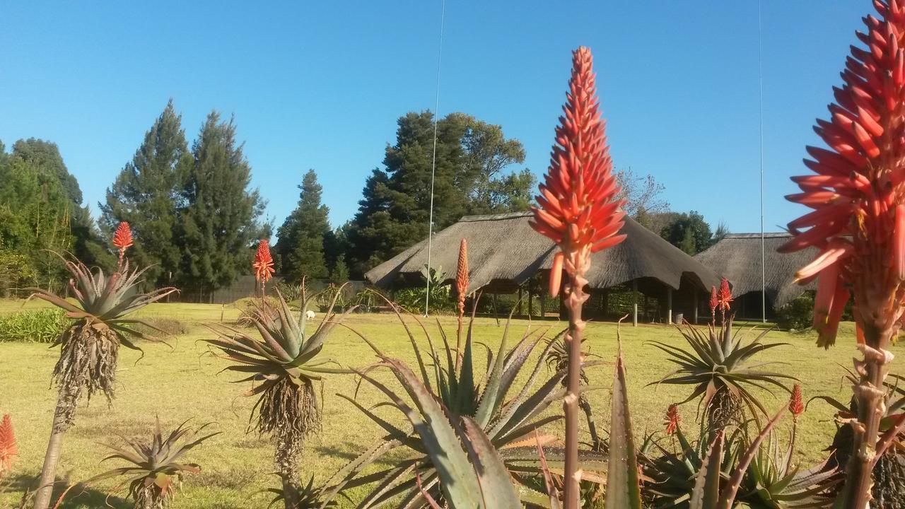 African Flair Country Lodge Piet Retief Esterno foto