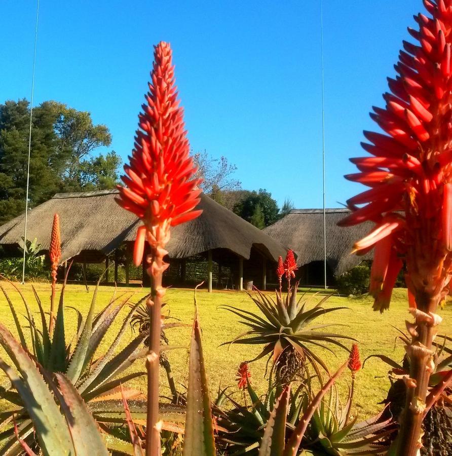African Flair Country Lodge Piet Retief Esterno foto