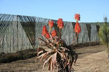 African Flair Country Lodge Piet Retief Esterno foto